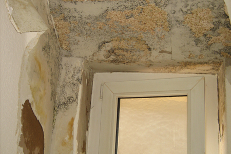 Reparaturen von Leitungen photo